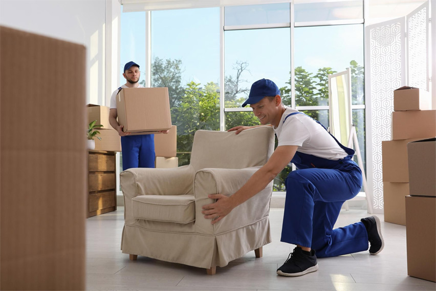 packers movers